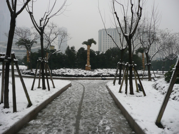 P1020635