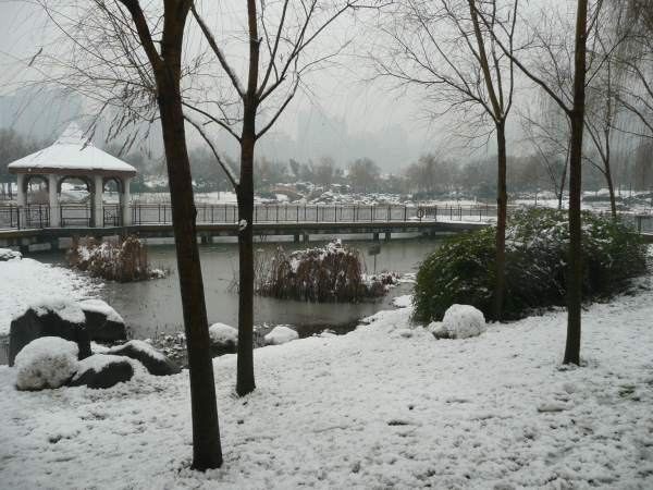 P1020666