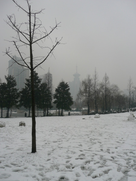 P1020679