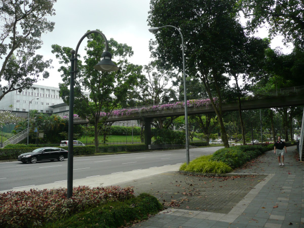 P1020735