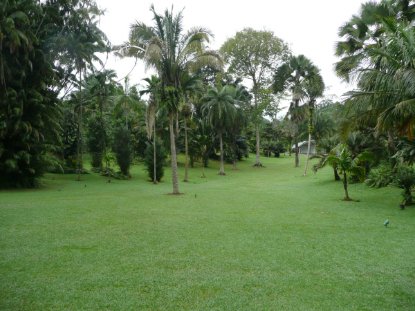 P1020778