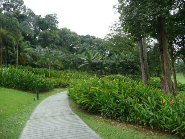 P1020788
