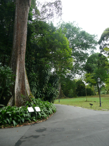 P1020791