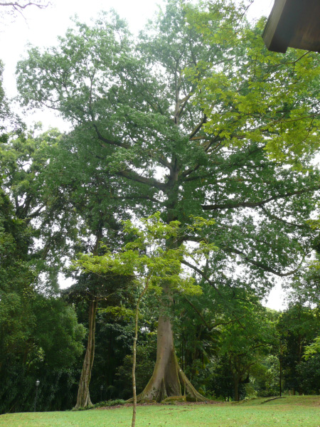 P1020794