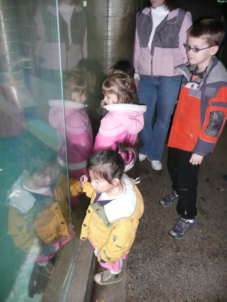 P1030939