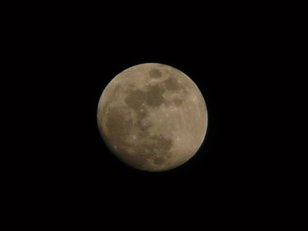 P1040008_cropped