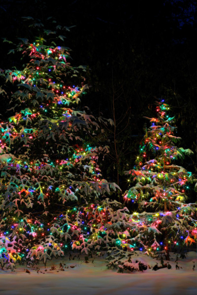IMG_1949-hdr