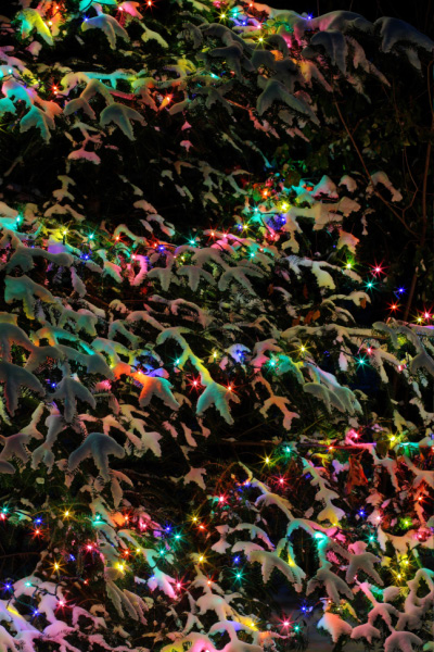 IMG_1955-hdr