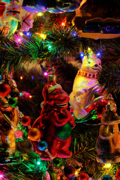 IMG_1988-hdr