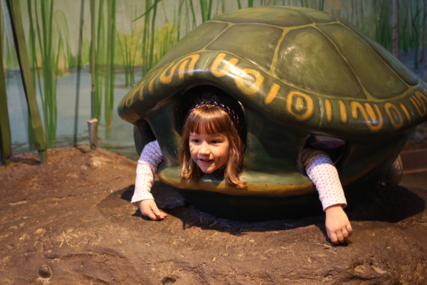 djl_20091206_2218