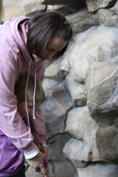 djl_20091228_3437