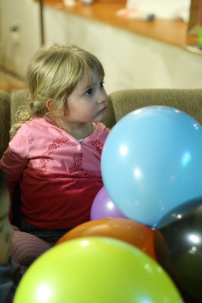 djl_20100129_3903