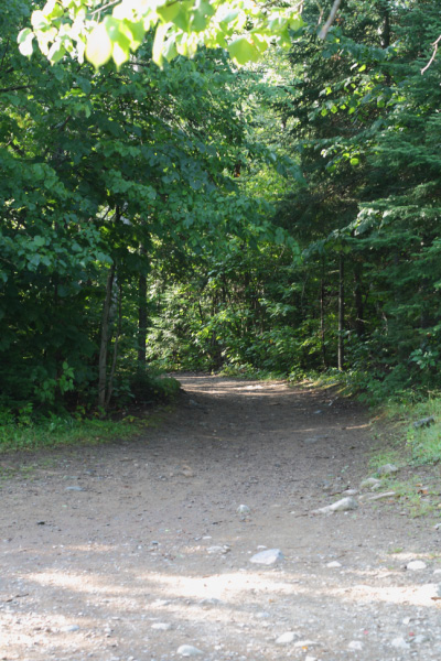 djl_20100809_6964