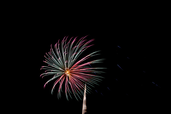 djl_20100828_7492