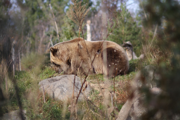 djl_20101031_7901