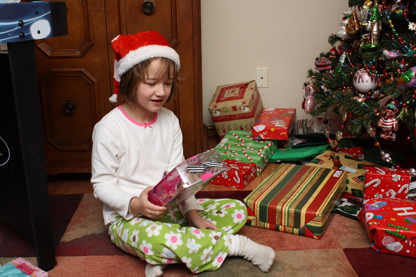 djl_20101225_7866