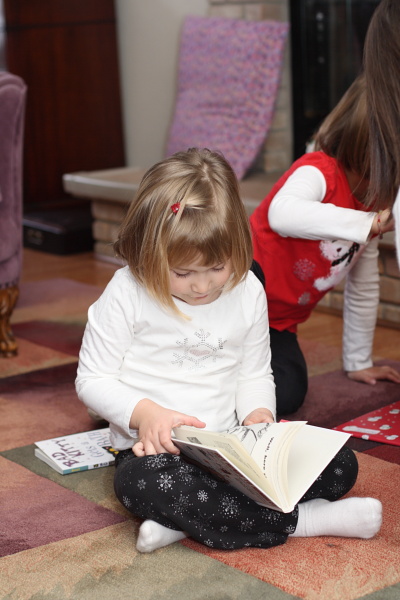 djl_20101225_7955