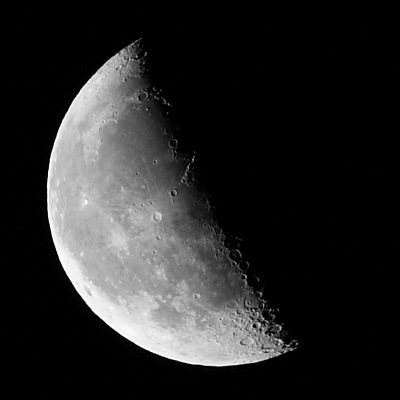 djl_20101228_7867
