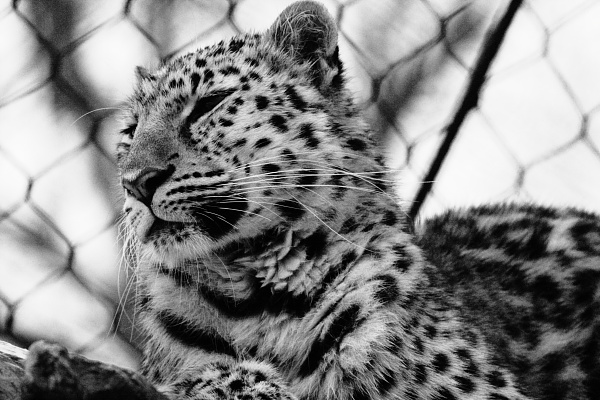 djl_20101230_7880