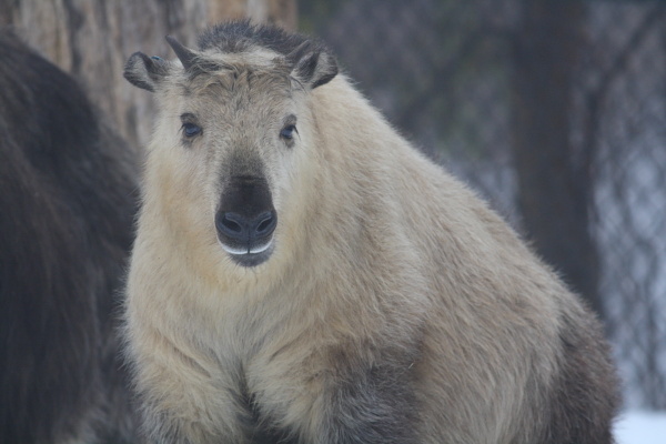 djl_20101230_7891