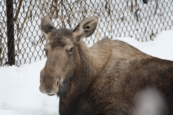 djl_20101230_7918