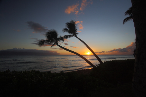 djl_20110715_8326