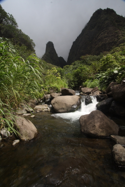 djl_20110720_8464