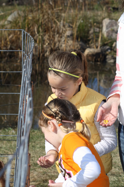 djl_20111022_7959