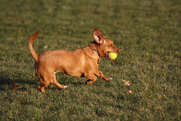 djl_20111124_7966