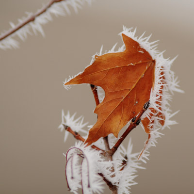 djl_20120204_7879