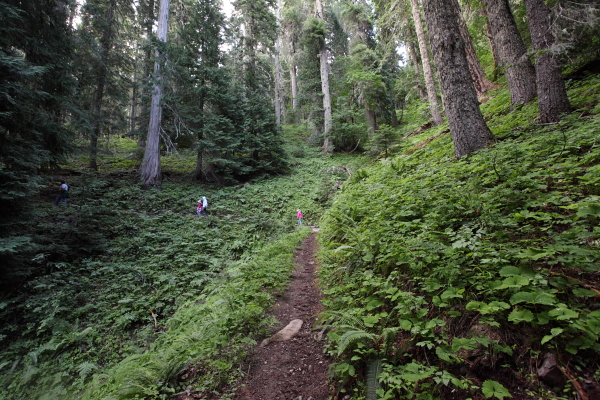djl_20120719_1129