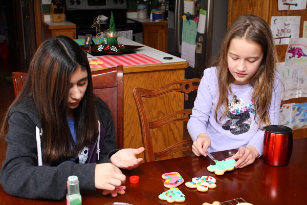 djl_20121223_7962
