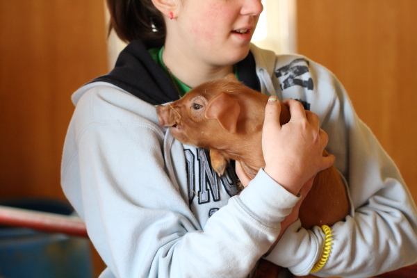 djl_20130407_7878