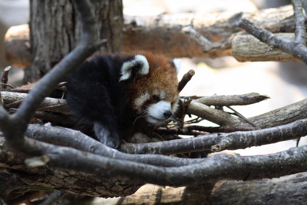 djl_20130922_8001