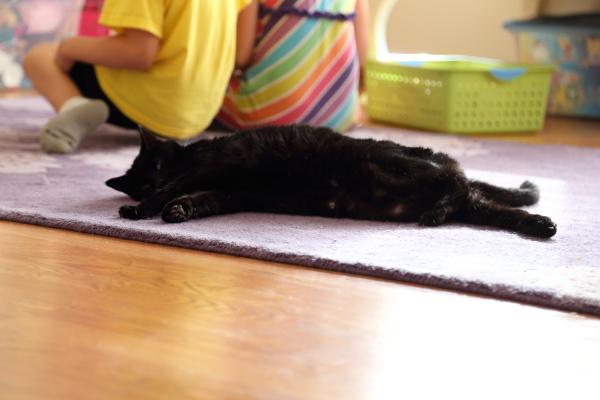 djl_20140705_3027