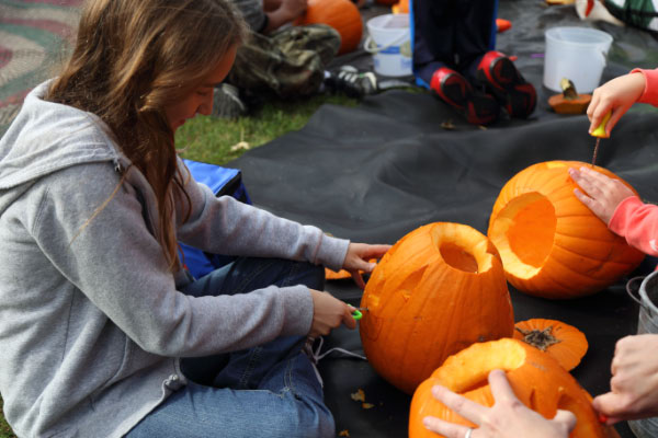 djl_20151024_8011